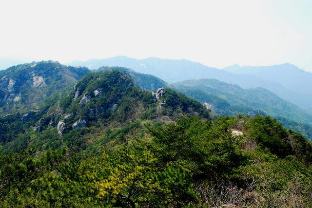 ▲ 막장봉에서 제수리재로 이어지는 능선.ⓒ진경수 山 애호가