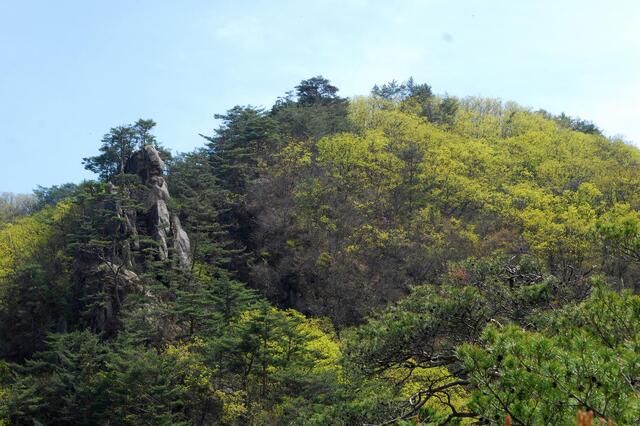 ▲ 침니 바위가 있는 암봉과 황정산 고스락의 모습.ⓒ진경수 山 애호가