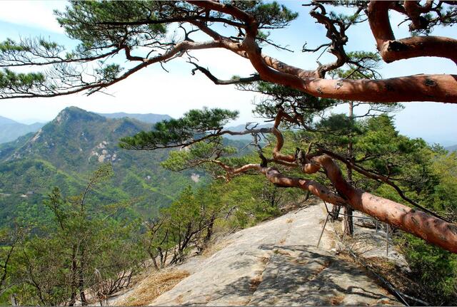 ▲ 황정상 고스락 도착 직전의 한 폭의 산수화와 같은 암릉 구간과 도락산.ⓒ진경수 山 애호가