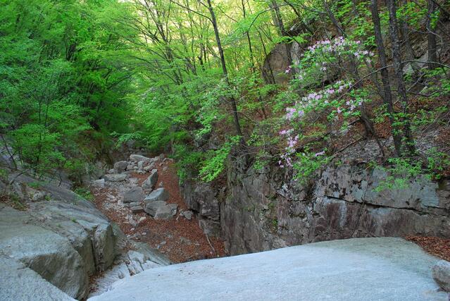 ▲ 하산하는 경로의 급경사 계곡.ⓒ진경수 山 애호가