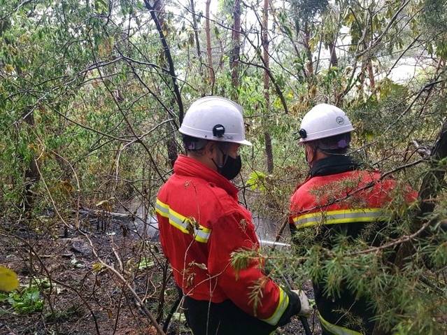 ▲ 서산 산불 진화 장면.ⓒ산림청