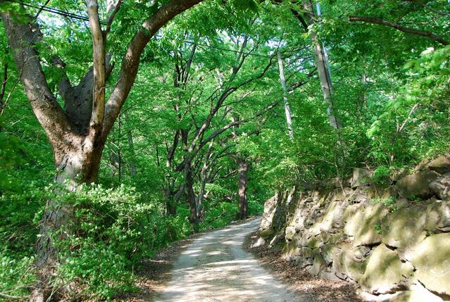 ▲ 영수사에서 일주문으로 이어지는 좁은 길.ⓒ진경수 山 애호가