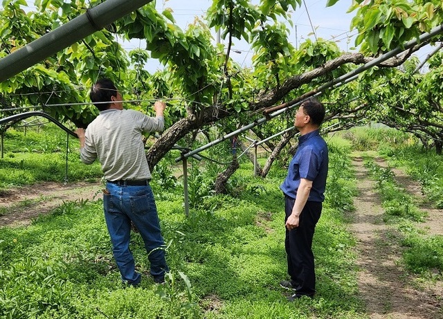 ▲ 논산시가 오는 12일까지 지역 전체 농가를 대상으로 농작물을 정밀조사를 하고 있다.ⓒ논산시