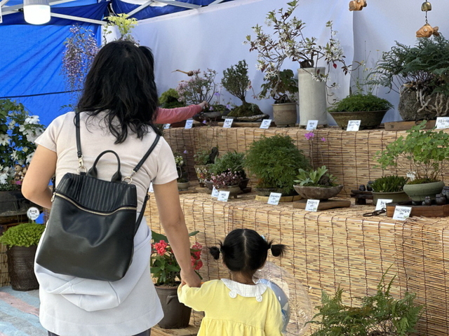 ▲ 예천군(군수 김학동) 농업기술센터는 4일부터 7일까지 한천체육공원 일원에서 개최되는 2023 예천활축제 기간동안 우리꽃·야생화 전시 부스를 운영한다.ⓒ예천군