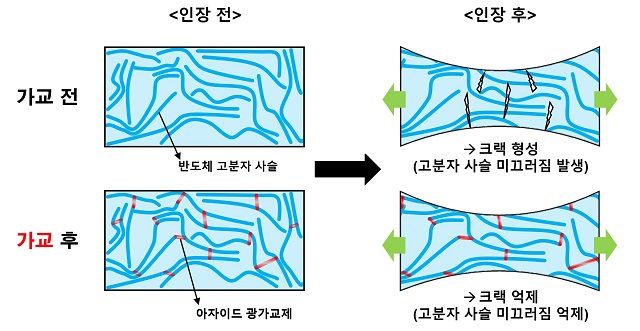 ▲ 연구 관련 그림.ⓒ포스텍