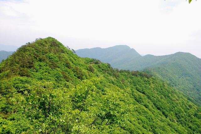 ▲ 이만봉에서 하산하면서 바라본 곰틀봉과 백화산 산등성이.ⓒ진경수 山 애호가