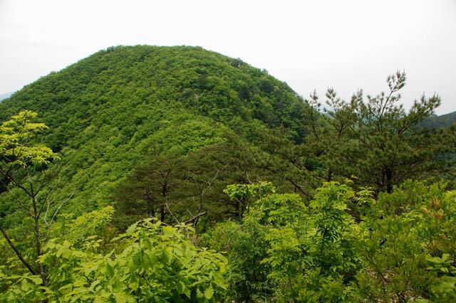 ▲ 곰틀봉을 오르면서 뒤돌아 바라본 부드러운 곡선의 이만봉.ⓒ진경수 山 애호가