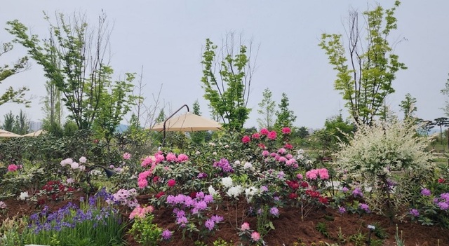 ▲ 만병초 품종 특별전 포토죤.ⓒ국립세종수목원