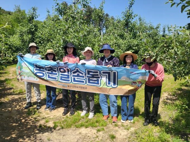 ▲ 북구청 민원토지정보과 직원들이 17일 송라면 중산리의 농가를 찾아 ‘농촌 일손돕기’ 봉사활동을 펼쳤다.ⓒ포항시 북구청