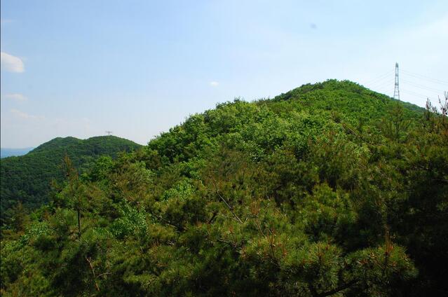 ▲ 도고산 칼바위 조망점에서 바라본 도고산 고스락.ⓒ진경수 山 애호가