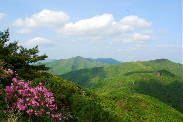 ▲ 제2연화봉 대피소에서 바라본 소백산 산등성.ⓒ진경수 山 애호가