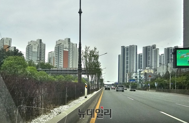 ▲ 천안시가 지난해 천안나들목에서 삼성대로 중앙분리대에 수천그루의 나무를 심었으니 물을 제때 주지 않아 고사한 것으로 드러났다. 사진은 중앙분리에 심은 황매화가 고사한 모습.ⓒ김정원 기자