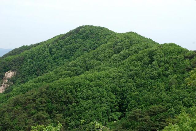 ▲ 609봉에서 바라본 가령산 고스락.ⓒ진경수 山 애호가