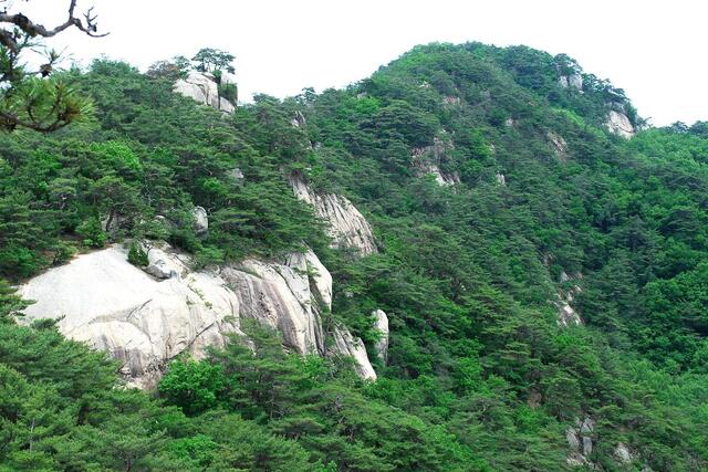 ▲ 544봉에서 바라본 지나온 단애의 암릉 구간.ⓒ진경수 山 애호가