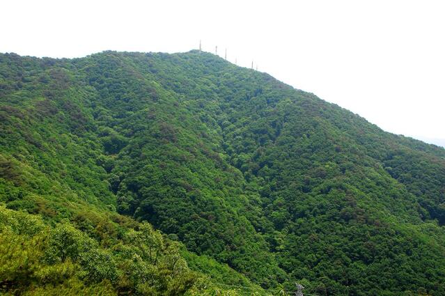 ▲ 방송송신탑이 세워진 가섭산 .ⓒ진경수 山 애호가