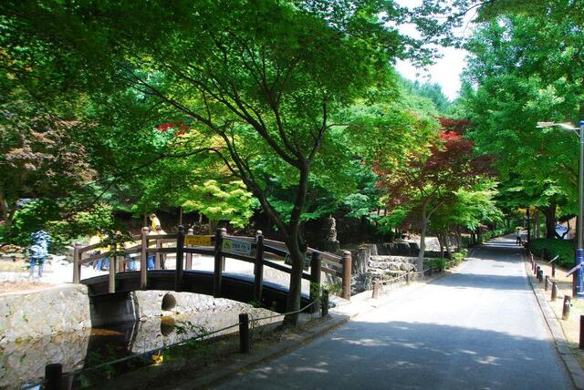 ▲ 시원한 물이 흐르는 봉학골 계곡.ⓒ진경수 山 애호가