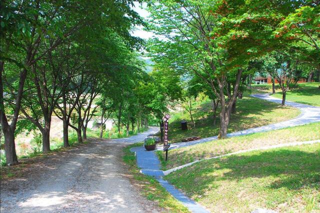 ▲ 임도를 거쳐 걷는 쑥부쟁이 둘레길.ⓒ진경수 山 애호가