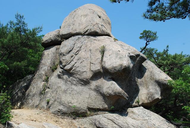 ▲ 낙영산의 명품 바위인 거북바위.ⓒ진경수 山 애호가