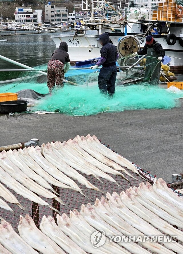 ▲ 출어 준비 바쁜 대변항 어민들ⓒ연합뉴스