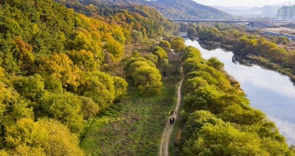▲ 대전 갑천 자연 하천구간이 국가 습지보호지역으로 지정·고시됐다.ⓒ대전시