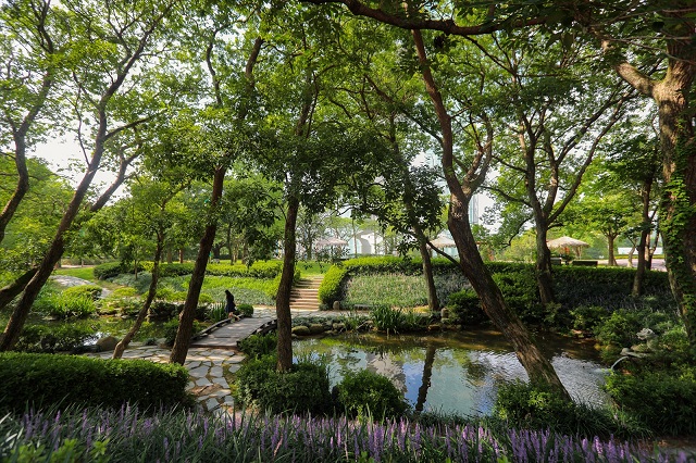 ▲ 보랏빛 맥문동이 어울어진 연지.ⓒ경주엑스포