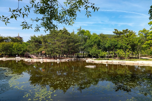 ▲ 계림정에서 바라본 계림지 비경.ⓒ경주엑스포