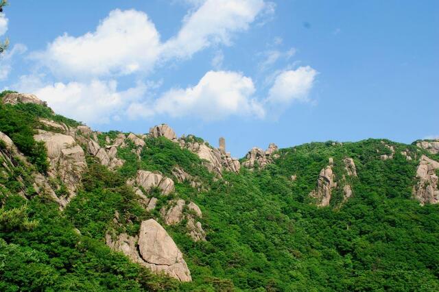 ▲ 경업대에서 바라본 입석대(사진 가운데 선 돌).ⓒ진경수 山 애호가