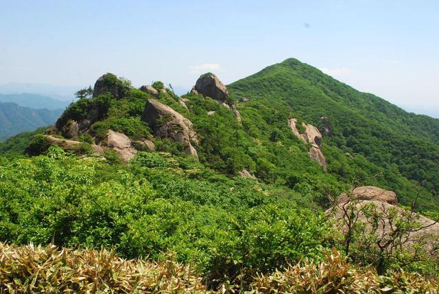 ▲ 석문을 지나 조릿대밭에서 조망한 천왕봉(해발 1058m).ⓒ진경수 山 애호가