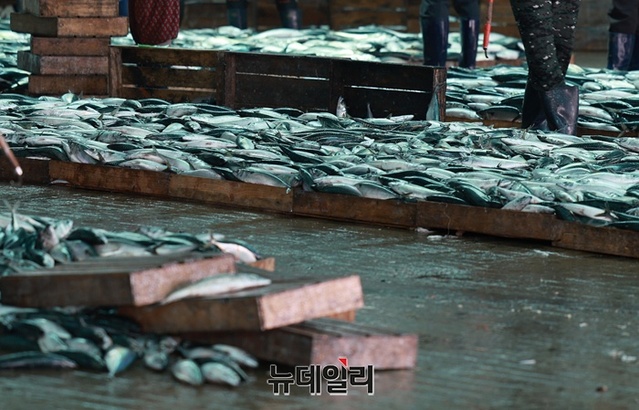 ▲ 부산 공동어시장의 모습. ⓒ정상윤 기자