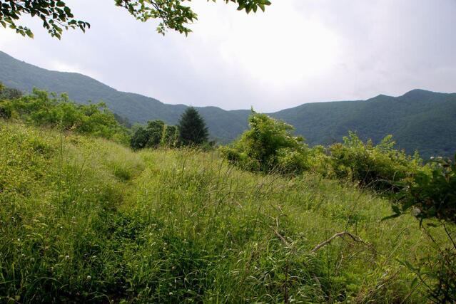 ▲ 널찍한 초야가 펼쳐진 흰두뫼.ⓒ진경수 山 애호가