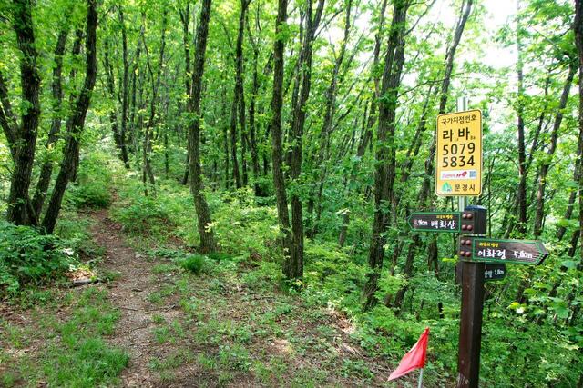 ▲ 백두대간의 산등성인 떡갈매기.ⓒ진경수 山 애호가