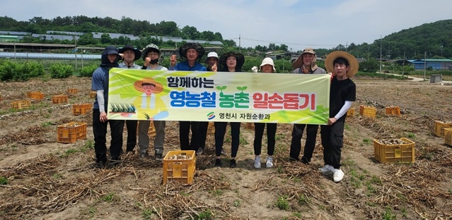 ▲ 영천시(시장 최기문) 자원순환과는 8일 무더위 속에서도 마늘 수확기를 맞아 청통면 계지리 마늘 재배 농가에서 2차 농촌일손돕기에 나섰다.ⓒ영천시