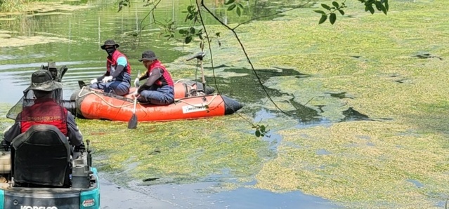 ▲ 경산시 수난인명구조대(대장 김신호) 대원들이 11일 경산 반곡지에서 수초제거, 쓰레기 수거 등 환경정화 활동을 펼쳤다.ⓒ경산시