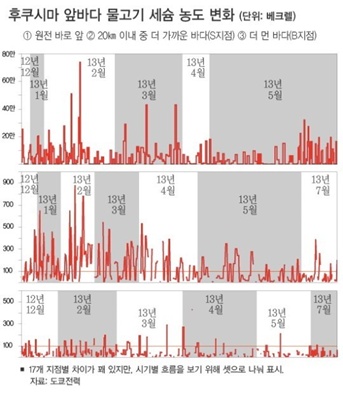 ▲ 후쿠시마 앞바다 물고기 세슘농도 변화와 관련한 자료. ⓒ사진제공=정범진 교수