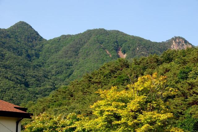 ▲ 쌍곡로1길에서 바라본 보배산 산등성.ⓒ진경수 山 애호가