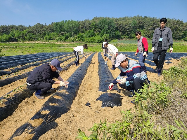 ▲ ‘봉화전원생활학교’ 프로그램 참가자들이 전원생활체험을 하고 있다.ⓒ봉화군