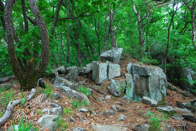 ▲ 등산로의 돌길 구간.ⓒ진경수 山 애호가