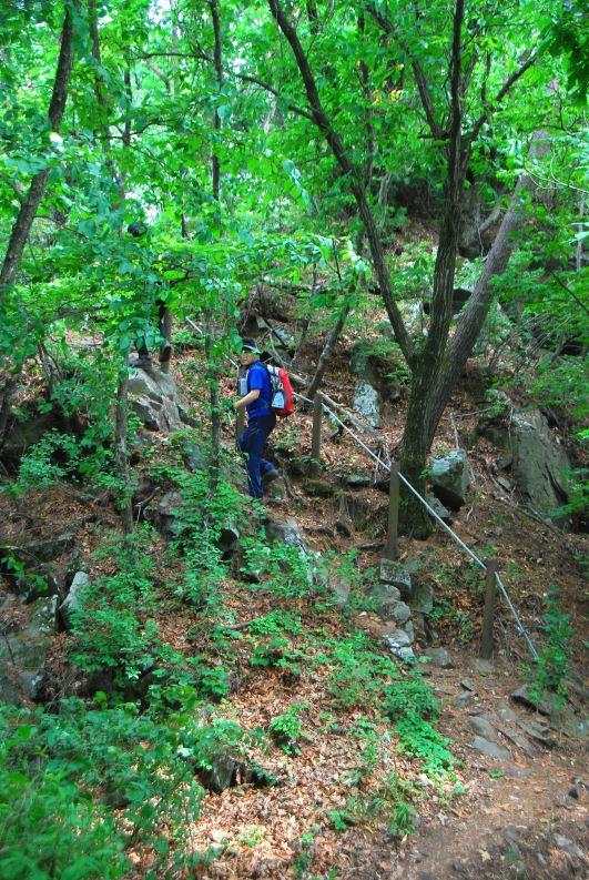 ▲ 산은 떠나도 찾아와도 막지 않고 잡지 않아.ⓒ진경수 山 애호가