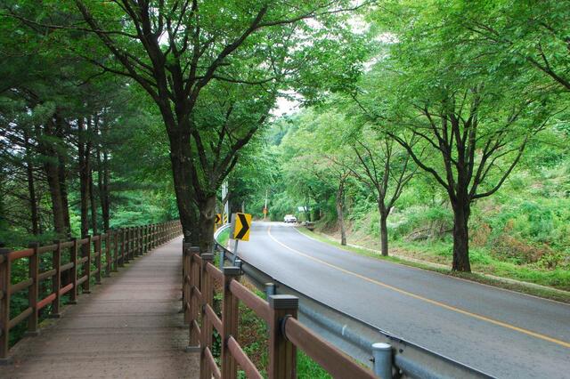 ▲ 충주호를 따라 걷는 종댕이길.ⓒ진경수 山 애호가