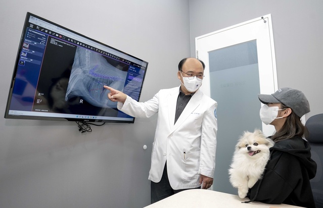 ▲ AI가 반려동물의 엑스레이(X-ray) 사진을 분석해 수의사의 진단을 돕는 ‘AI 기반 수의(동물)영상진단 보조서비스’ⓒSKT
