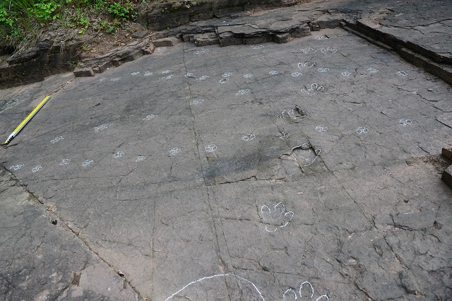 ▲ 의성지질공원 만천리 아기공룡발자국.ⓒ의성군