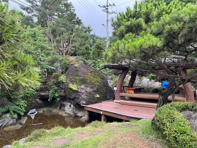 ▲ 안성 쉼터에 조성된 연못ⓒ연합뉴스