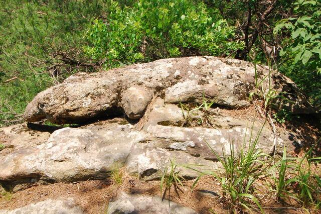 ▲ 도마뱀 바위.ⓒ진경수 山 애호가