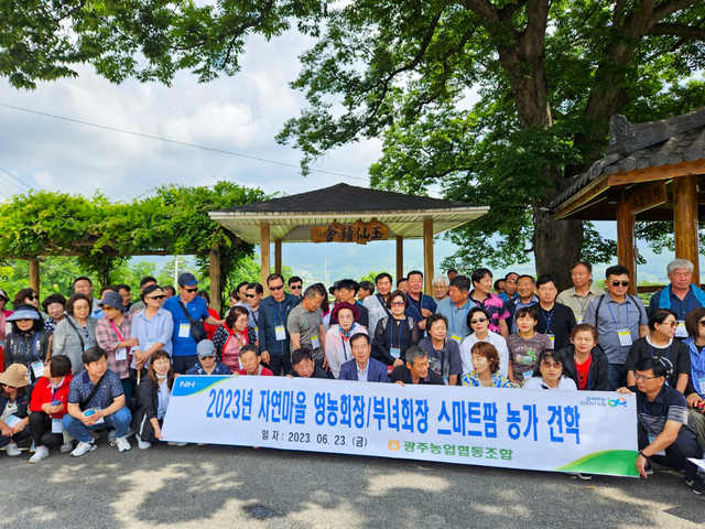 ▲ 해발 350m 청정 소백산자락 영주시의 ‘만감류’ 스마트팜 재배기술을 경기도 광주에서도 주목하고 있다.ⓒ영주시