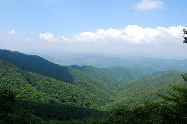 ▲ 칠갑산 아흔아홉골.ⓒ진경수 山 애호가