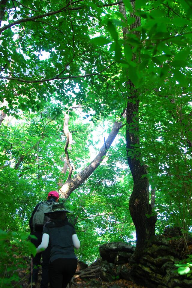 ▲ 보덕암에서 능선으로 오르는 길.ⓒ진경수 山 애호가