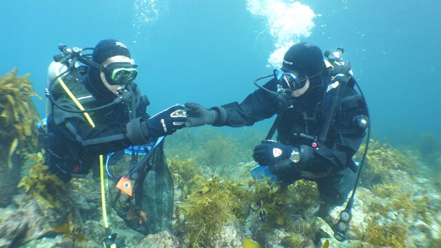▲ 포스코 클린오션봉사단이 수중 봉사활동을 하는 모습. ⓒ포스코
