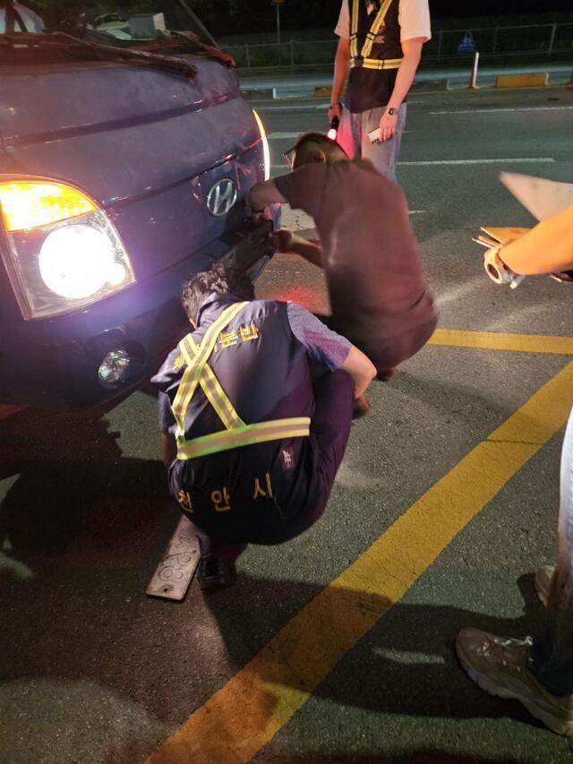 ▲ 천안시가 지난 27일 밤 동남경찰서와 합동으로 음주단속을 비롯해 자동차세와 자동차 관련 과태료 체납 차량 일제 단속을 하고 있다.ⓒ천안시