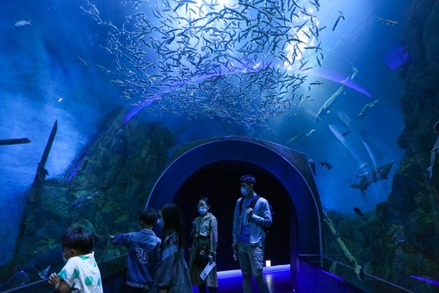 ▲ 단양군이 휴가철을 맞아 다누리아쿠아리움을 연장 운영한다.ⓒ단양군