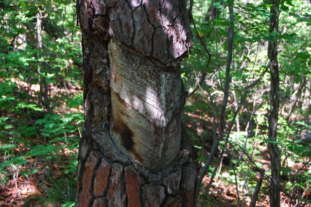 ▲ 일본이 저지른 수탈의 아픈 상처.ⓒ진경수 山 애호가